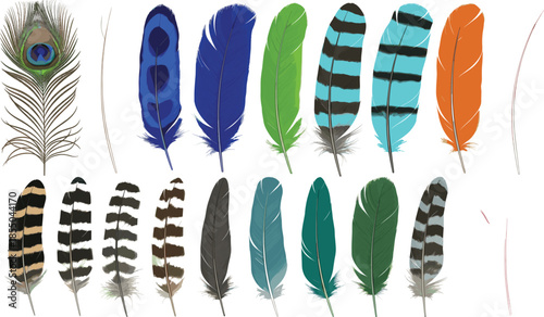 Decorative feather vector set with colorful bird plumage, peacock and patterned feathers for boho, tribal, nature, and artistic design elements