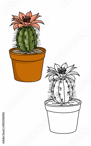 cactus with pink flower plant in pot coloring page. Plant education for kids