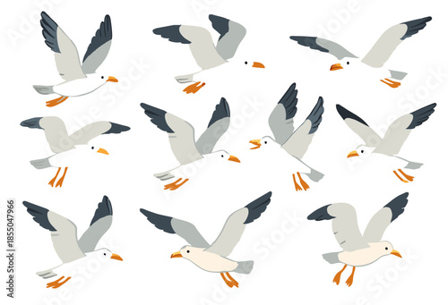 Set of 9 cartoon-style seagull vector illustrations in various flying poses, ideal for coastal themes, bird studies, educational materials, and nature-inspired decorative design projects.