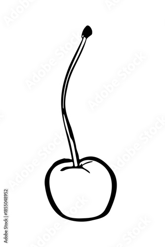Minimalist hand-drawn cherry illustration in a simple doodle style. Black ink outline of a single berry with a long stem, organic fruit element isolated on white background for modern graphic design