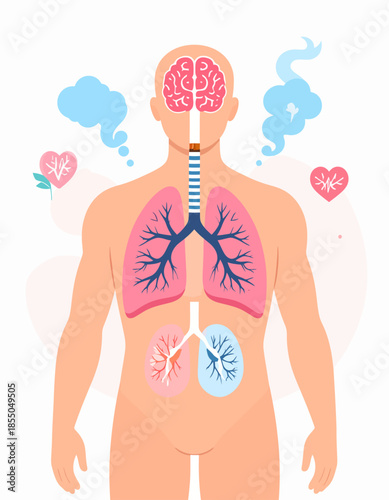 Detailed visual depicting the severe detrimental effects of smoking on key human organs, showcasing damaged lungs, an affected brain, and overall health risks of nicotine addiction