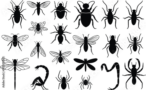 Black and white insect silhouette illustration set with butterflies, beetles, spiders, dragonflies, flies, detailed entomology collection design