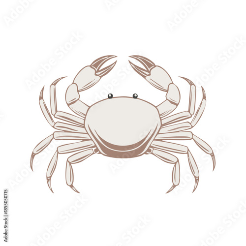 Simple illustration of a crab with large claws and ten legs in a vintage style, vector graphic, isolated.