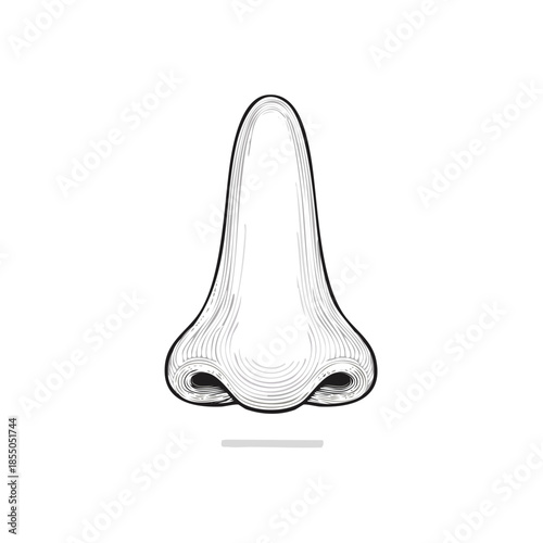 Human Nose Anatomical Drawing Detailed Illustration of Olfactory Organ Close Up Graphic Anatomy for Educational or Medical Use