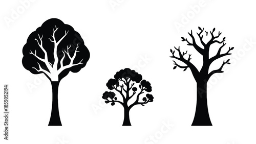 Three stylized trees of varying sizes and shapes are silhouetted against a white background.