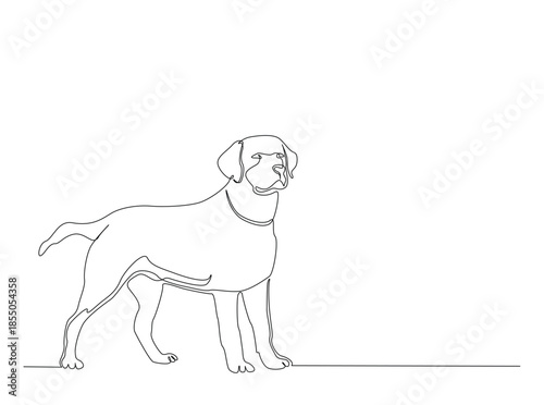 Single Continuous Line Drawing of adorable labrador retriever dog. Domestic Animal.