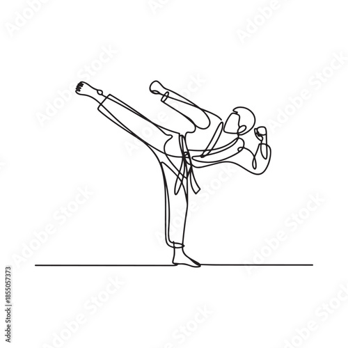 Dynamic martial artist performing a side kick in a continuous line drawing style