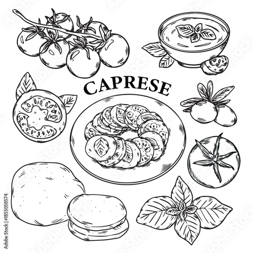 Hand drawn Caprese salad and ingredients outline drawing illustration