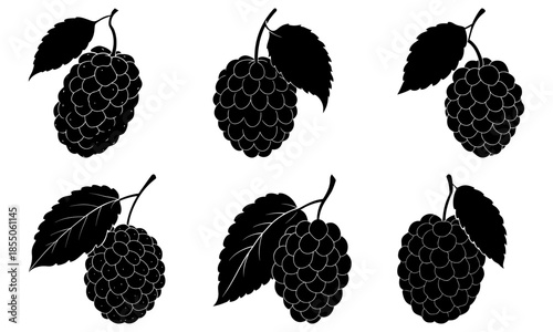 Blackberry clusters with leaves on white background blackberries fruit