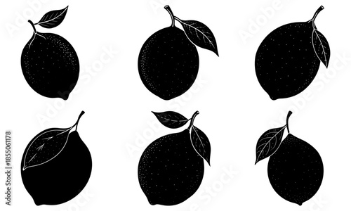 Five black kiwi fruits with leaves on white background silhouette leaf