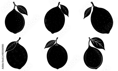 Five black kiwi fruit silhouettes with leaves on white background