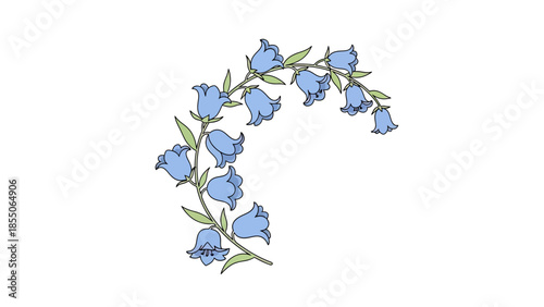 Bluebell floral border illustration, elegant curved branch with delicate flowers and leaves