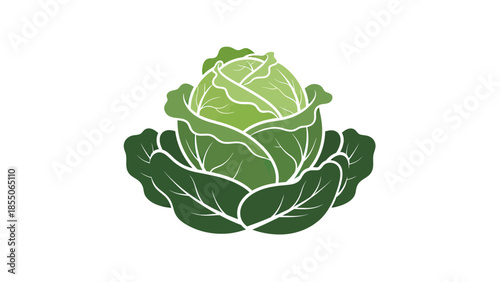 Stylized Green Cabbage Icon - Fresh Vegetable Graphic
