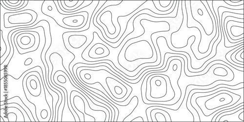 Abstract Black and White Contour Lines Forming Organic Shapes and Irregular Patterns on a White Background for Topographic Maps and Scientific Concepts Keywords: abstract, black, white, contour