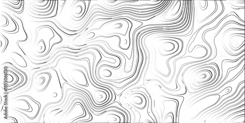 Abstract topographic contour map lines in grayscale gradient creating a dynamic, organic, and flowing pattern with varying line weights and subtle shading for a modern background design