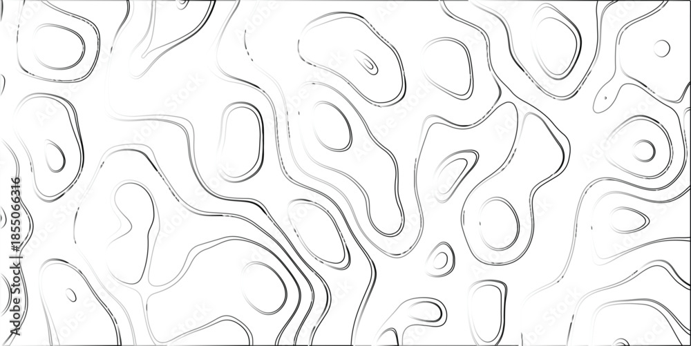Fototapeta premium Grayscale abstract contour map pattern with organic fluid shapes and textured swirling lines creating a dynamic and flowing visual background for design
