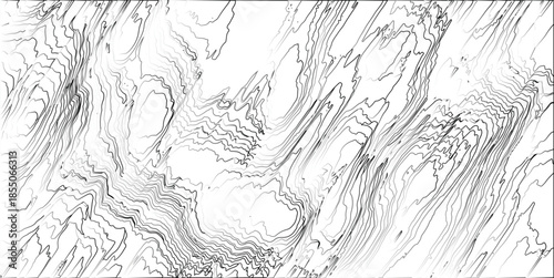 Detailed grayscale contour lines forming a complex abstract pattern with rich tonal variations, evoking a sense of depth and organic structure on a white background