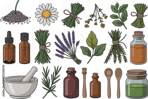 Herbal medicine and aromatherapy illustration set with dried herbs, essential oil bottles, mortar and pestle, natural wellness elements isolated