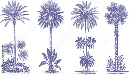 Vintage palm tree illustration set in monochrome brown, tropical botanical landscape elements, retro engraving style nature collection design