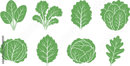Leafy green vegetable icons in stylized silhouette with vein details for food, nutrition, and botanical design illustration