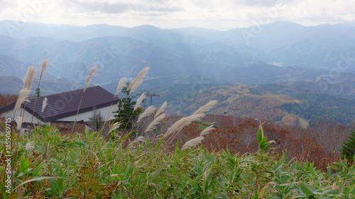 Silver grass sways in the wind on Moriyoshi Mountain, Japan, overlooking a gondola station and autumn foliage across the vast Tohoku mountain range.