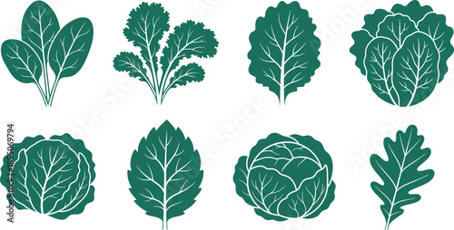 Leafy greens icon set in flat green style featuring spinach, kale, chard, lettuce, and cabbage for nutrition design