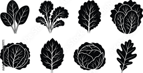Leafy vegetable silhouette icons featuring spinach, lettuce, cabbage, herbs, and greens for food, nutrition, and botanical design