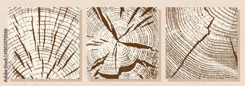 Wood texture. Cross-section, tree growth rings, cracks, and chips. Vector illustration.