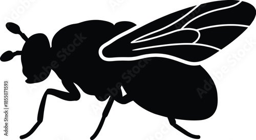 Botfly Silhouette Vector Illustration on White Background