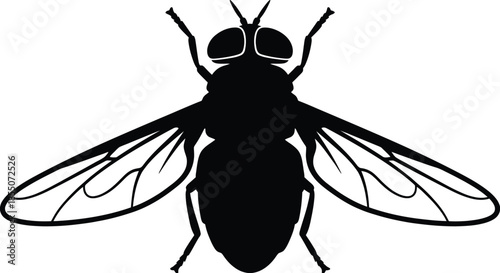 Horsefly Silhouette Vector Illustration on White Background