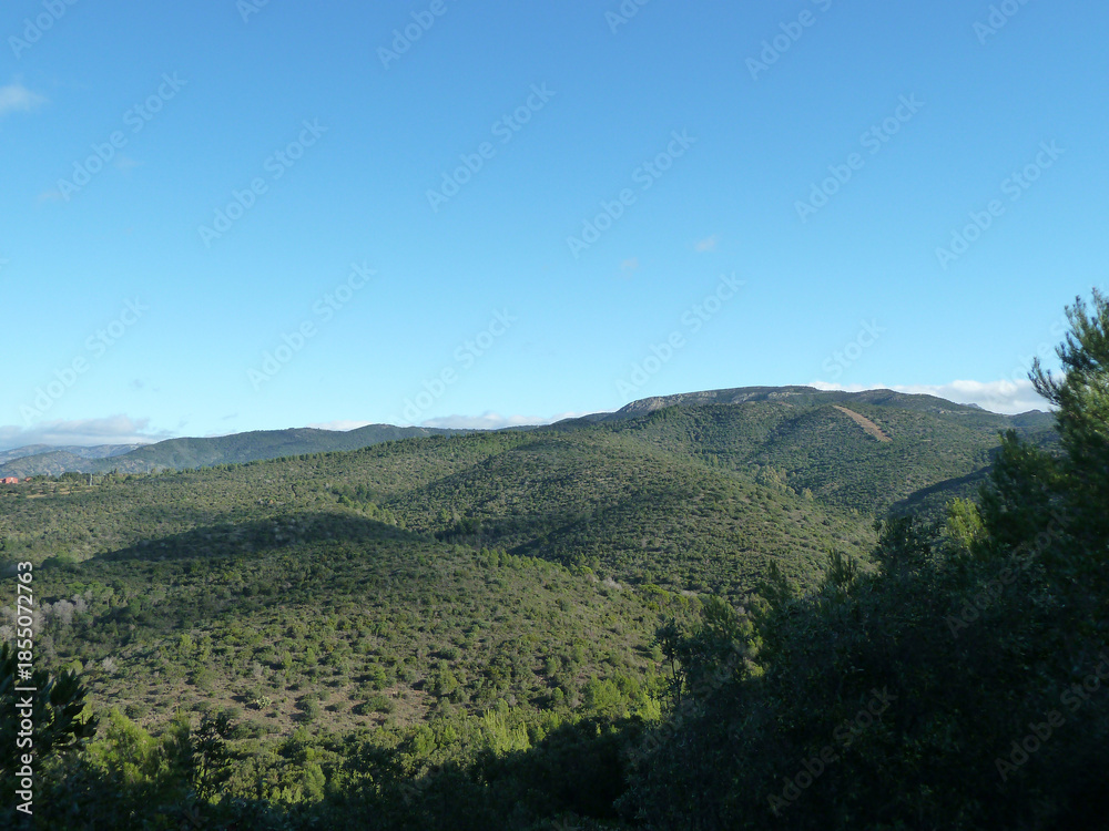 Obraz premium Natura