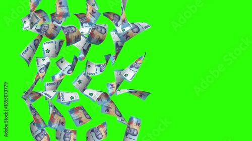 Animation Special Edition Rupiah 75,000 Rupiah or Money from Bank Indonesia in the context of the 75th Republic of Indonesia's Independence Day 2020. background Green screen