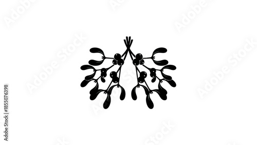 Black Mistletoe Silhouette with Berries on White Background
