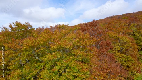 Panoramic view of vibrant red and orange autumn leaves on Moriyoshi Mountain Akita. Experience the stunning seasonal beauty from a cable car.