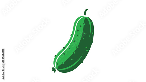 Fresh Green Pickle Vector Illustration Isolated on White Background