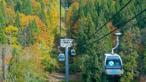 Aerial view of vibrant autumn foliage from the Moriyoshi Mountain gondola. Experience the stunning fall colors of Akita Prefecture from above.