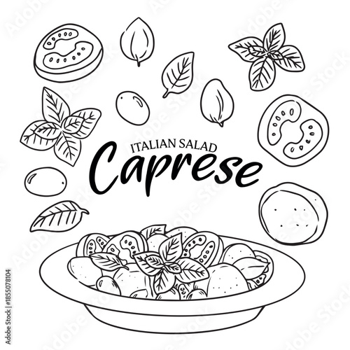 Hand drawn Caprese salad and ingredients doodle illustration