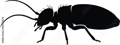 Book Louse Silhouette Vector Illustration on White Background