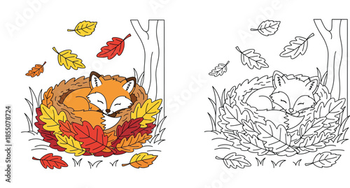 Cute sleeping fox in autumn leaves pile coloring page vector illustration with colored example.