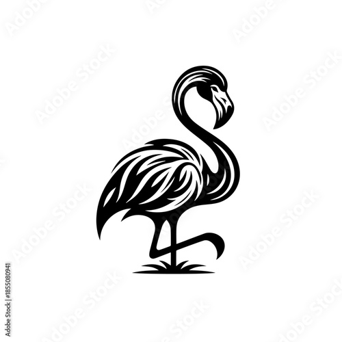 Placeholder image display