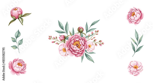 Collection of pink peony flowers and green leaves in various arrangements is presented as individual design elements.