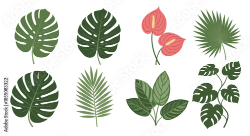 Set of various tropical green leaves and pink anthurium flowers is presented as separate design elements on white.