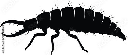 Aphid Lion Silhouette Vector Illustration on White Background
