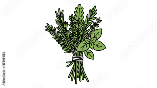 Fresh Herbs Bunch Illustration: Rosemary, Thyme, Basil - Isolated
