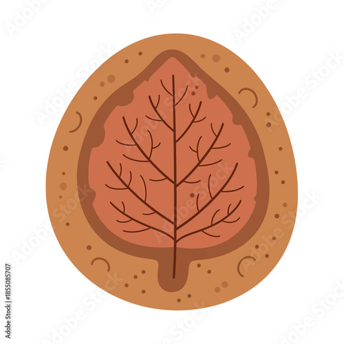 A fossil of leaf, vector illustration design