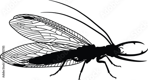 Dobsonfly Silhouette Vector Illustration on White Background