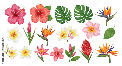 Large set of tropical flora featuring hibiscus flowers bird of paradise blossoms frangipani and lush green monstera and palm leaves.