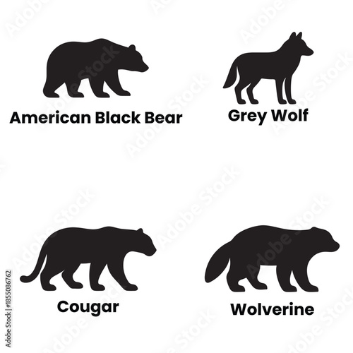 American bear, Grey wolf, Cougar and Wolverine silhouettes vector set illustration.