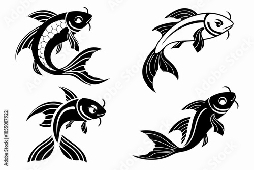 Placeholder image display