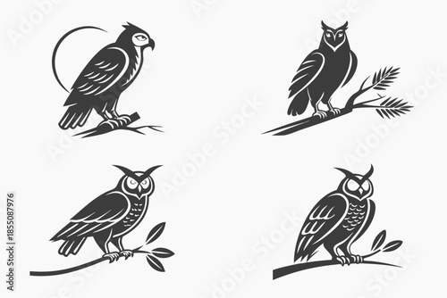 Placeholder image display